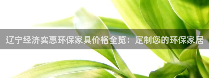 杏耀登录测速：辽宁经济实惠环保家具价格全览：定制您的环保家居